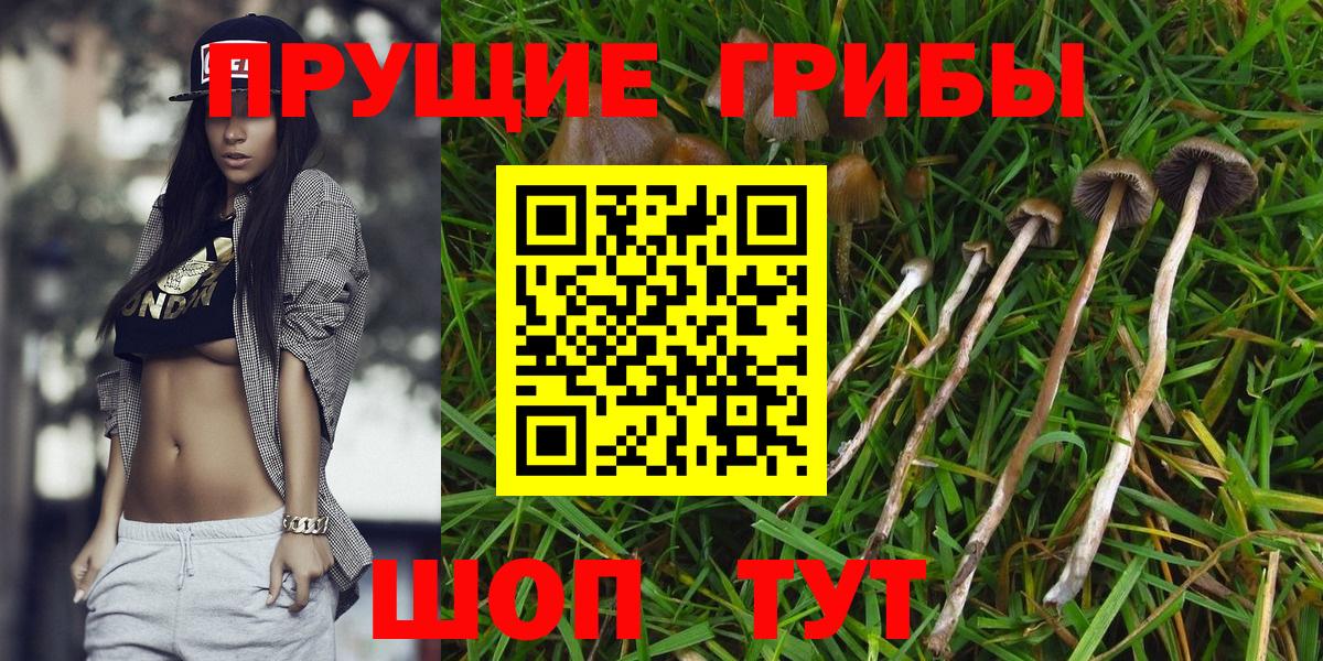 Бирск  Псилоцибиновые грибы MAGIC MUSHROOMS  Вход с VPN 